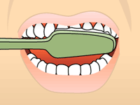 Graphic showing a toothbrush brushing the top front teeth